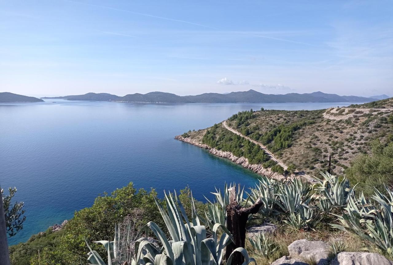 Apartment Lucija With Sea View Dubrovnik Exterior foto